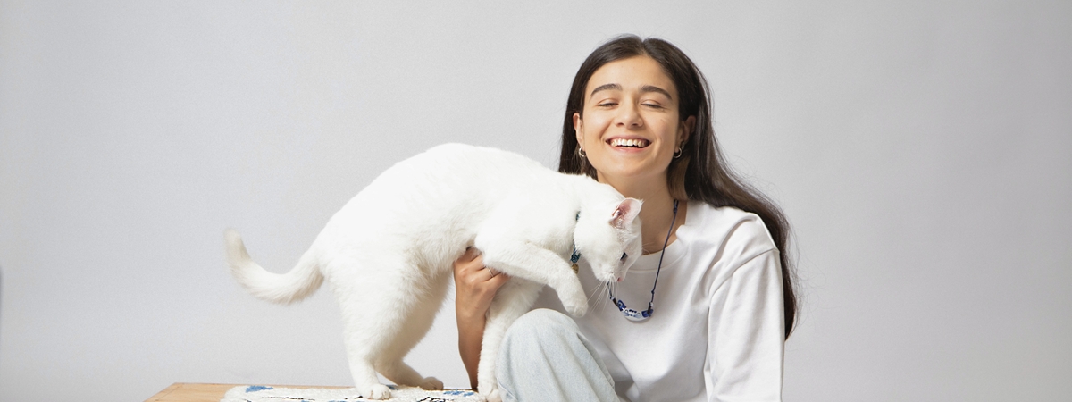 Ինֆլուենսեր Դարֆինի բլոգը, հյուրանոցն ու խանութը